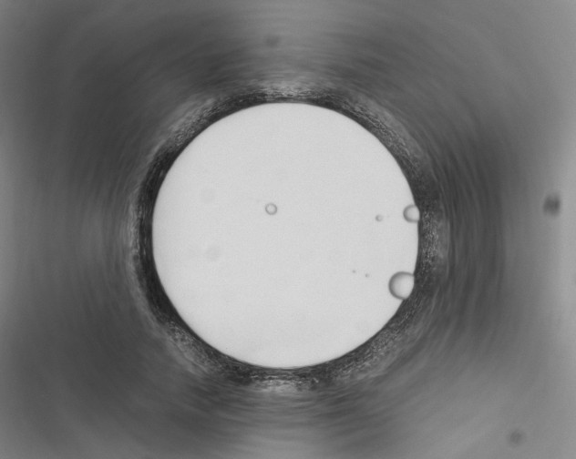 X0000116680738201001251259