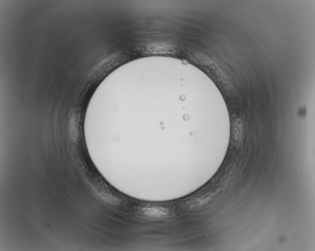 X0000116680741201001251259