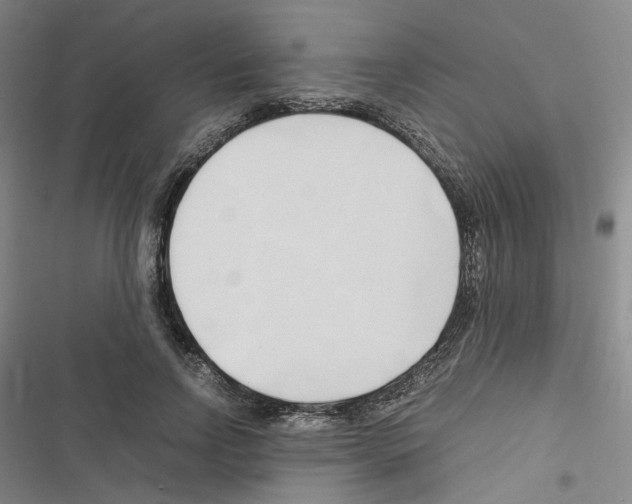 X0000116680742201001251259