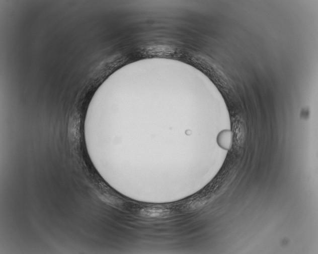 X0000116680745201001251300