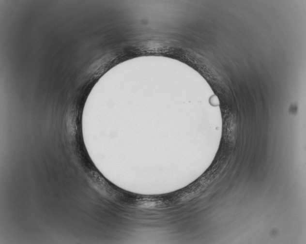 X0000116680746201001251300