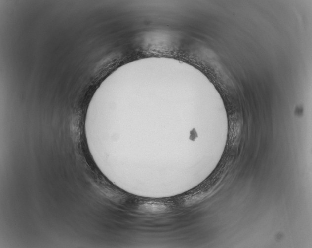 X0000116680749201001251300