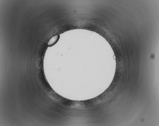 X0000116680750201001251300