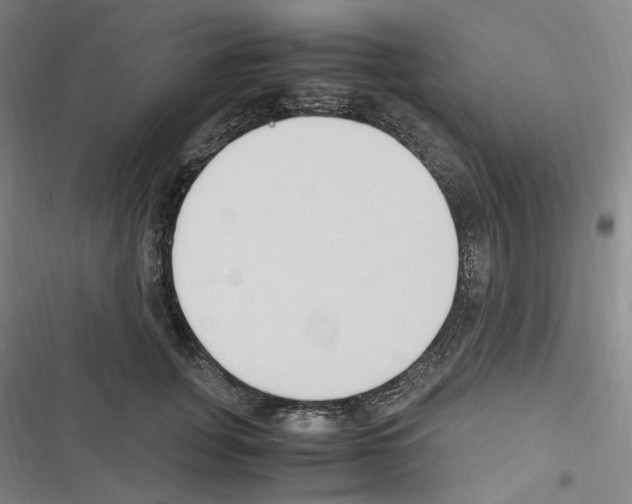 X0000116680751201001251300