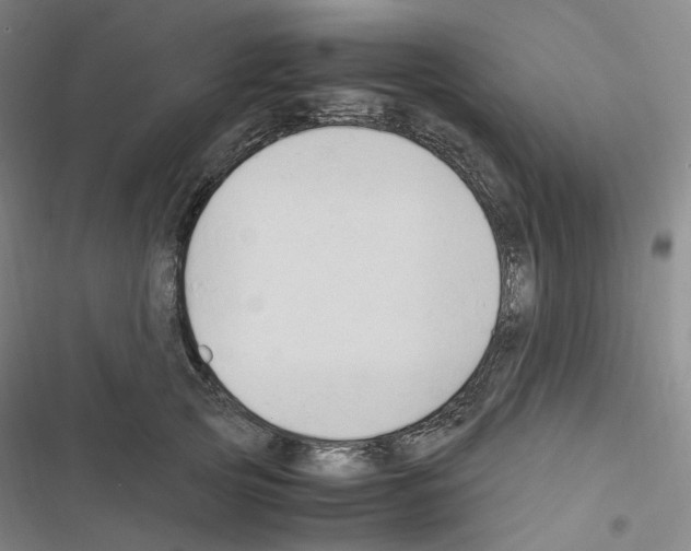 X0000116680753201001251300