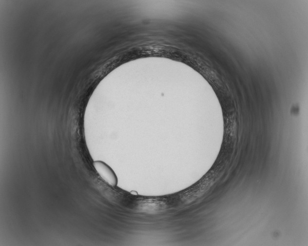 X0000116680754201001251300