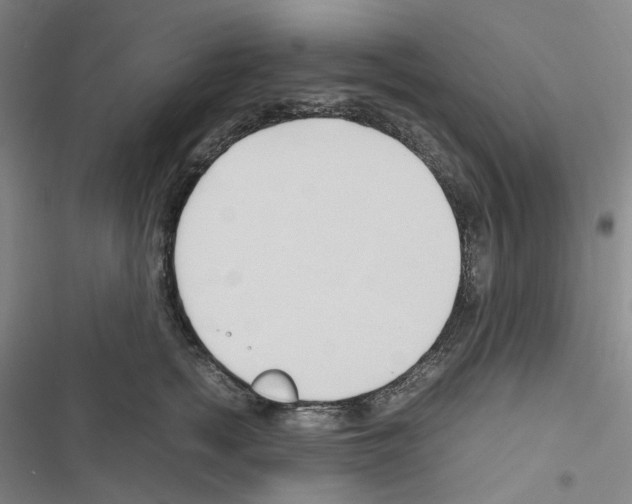 X0000116680758201001251300