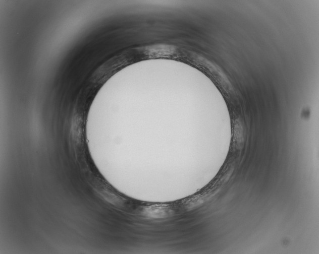 X0000116680761201001251300