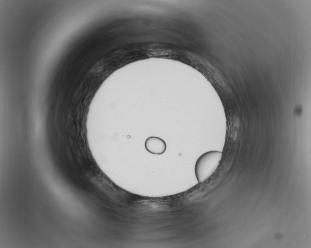 X0000116680763201001251300