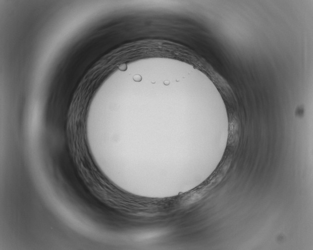 X0000116680765201001251300