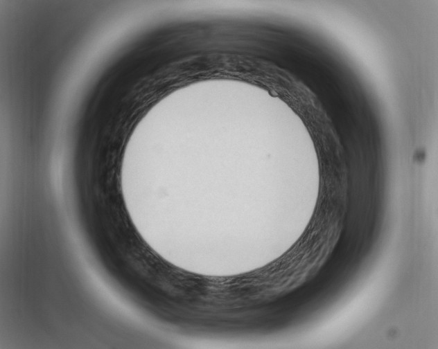 X0000116680766201001251300