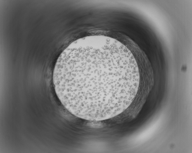 X0000116680767201001251300