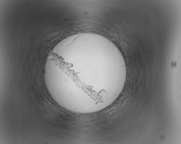 X0000116680769201001251259