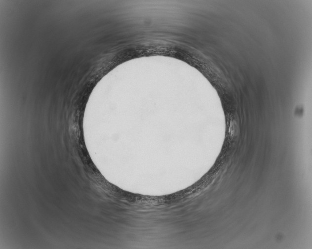 X0000116680771201001251259