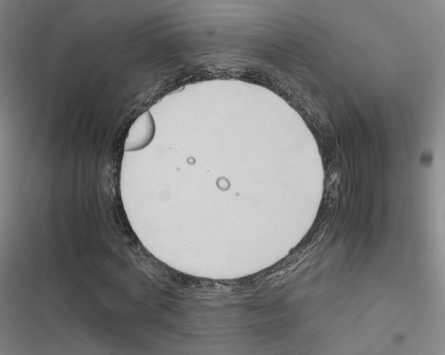 X0000116680772201001251259