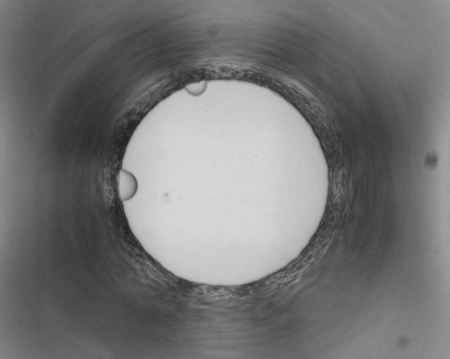 X0000116680774201001251259