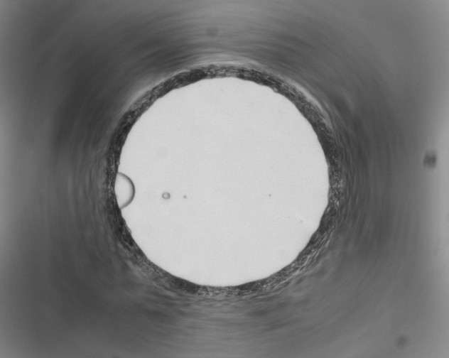 X0000116680775201001251259