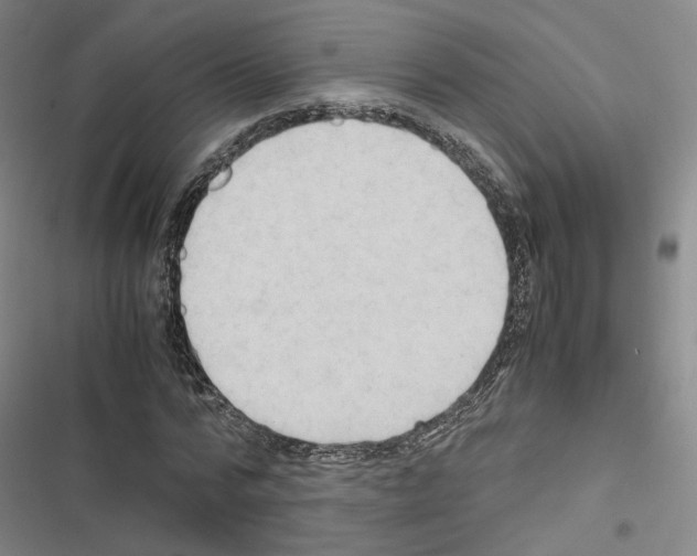 X0000116680776201001251259