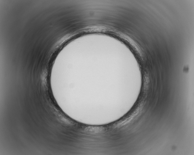 X0000116680778201001251259