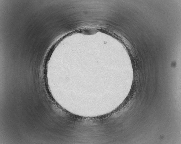 X0000116680779201001251259