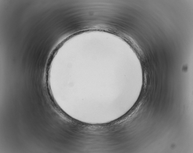 X0000116680780201001251259