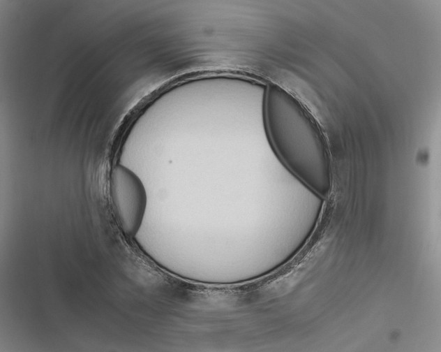 X0000116680781201001251259