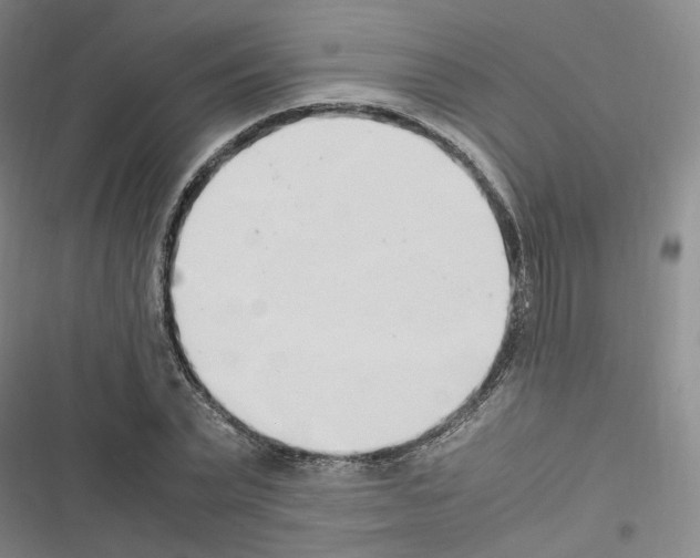 X0000116680783201001251259