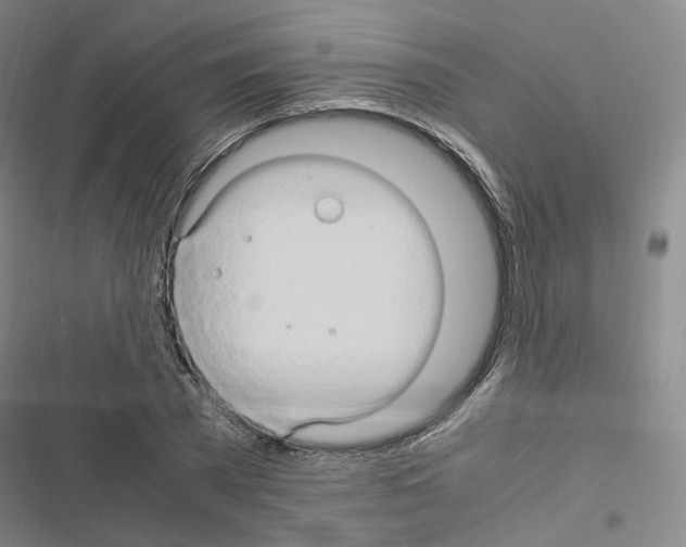 X0000116680785201001251259