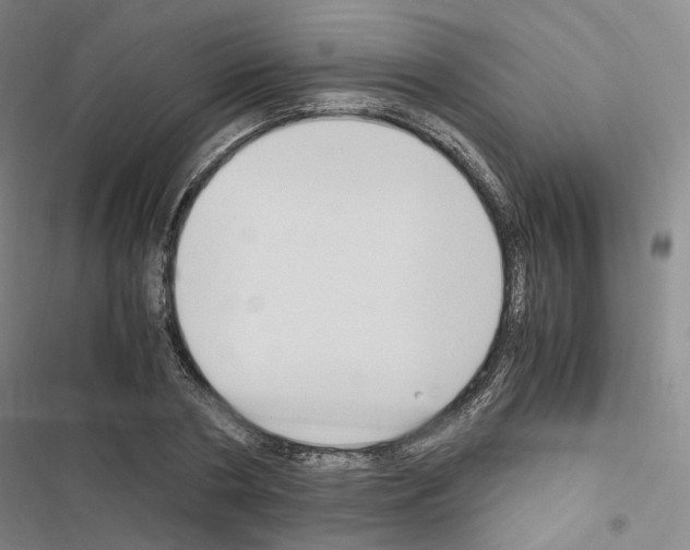 X0000116680786201001251259