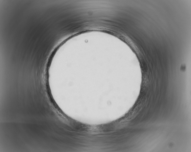 X0000116680787201001251259