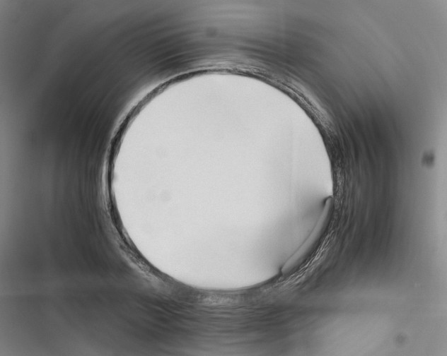 X0000116680788201001251259