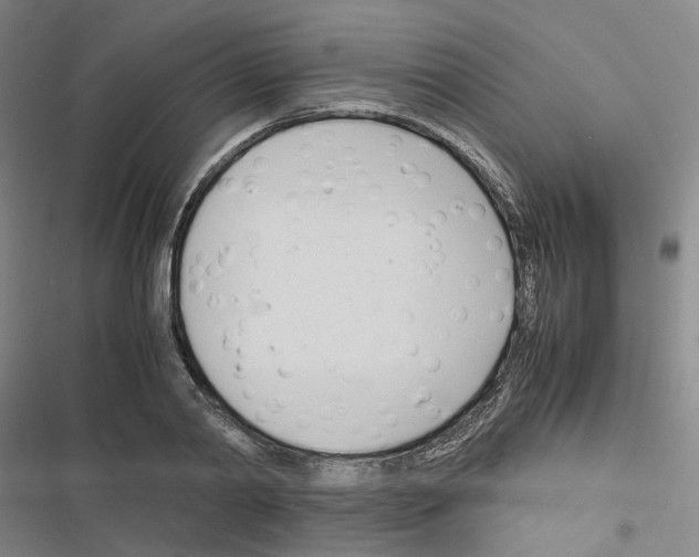 X0000116680790201001251259