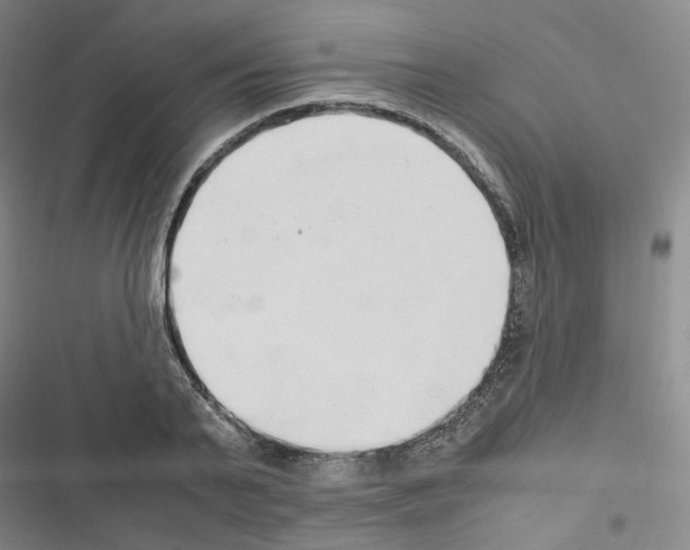 X0000116680791201001251259