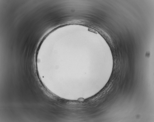 X0000116680792201001251259