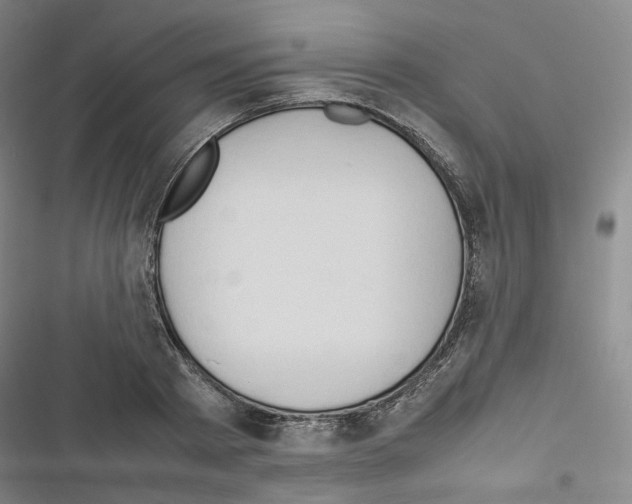 X0000116680793201001251259