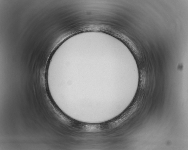 X0000116680794201001251259