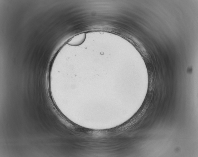 X0000116680796201001251259