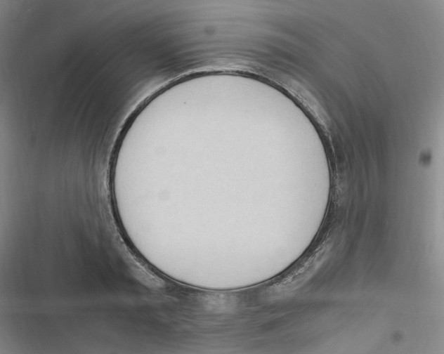 X0000116680797201001251259