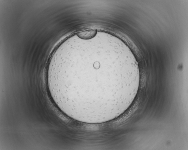 X0000116680798201001251259