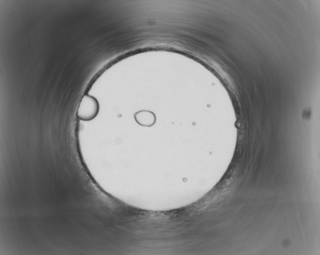 X0000116680799201001251259