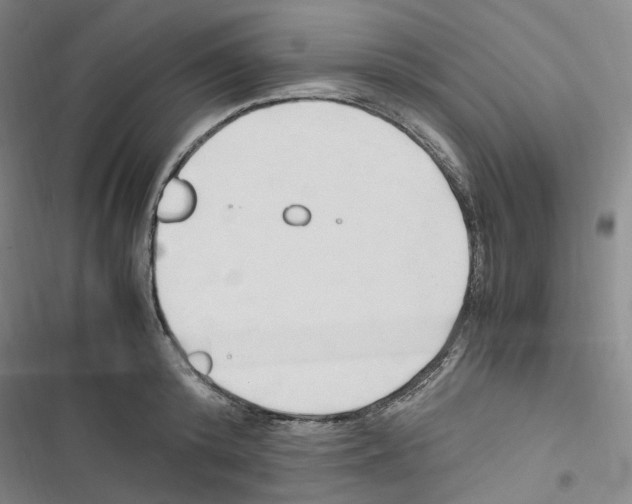 X0000116680800201001251259