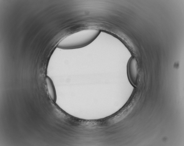 X0000116680801201001251259