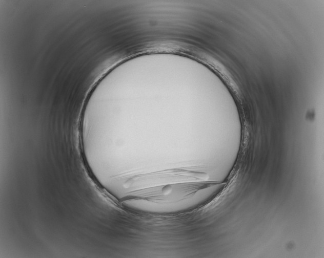 X0000116680802201001251259