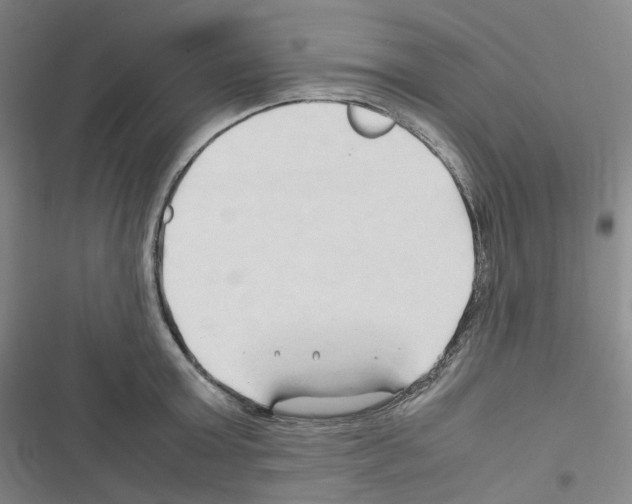 X0000116680803201001251259