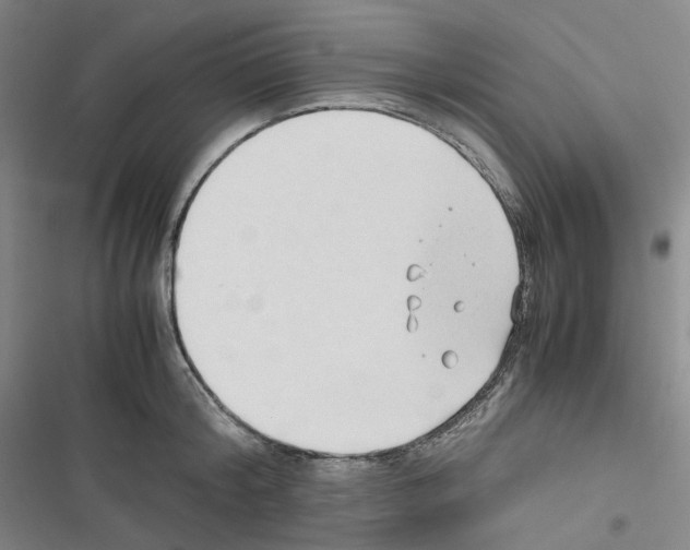 X0000116680804201001251259