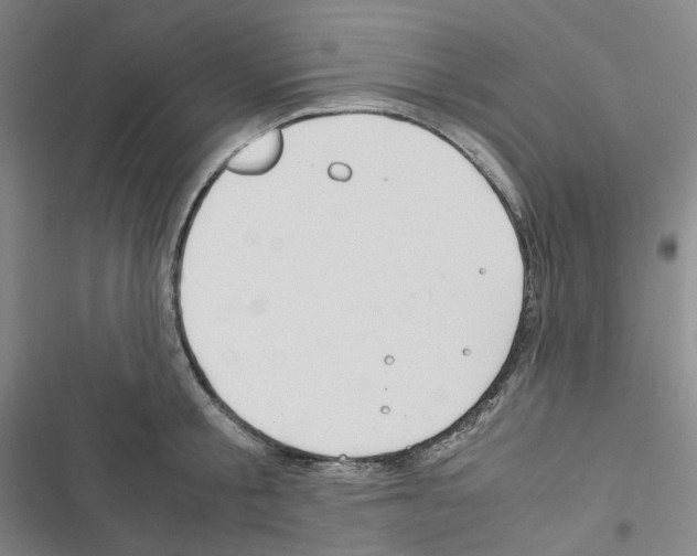 X0000116680805201001251259