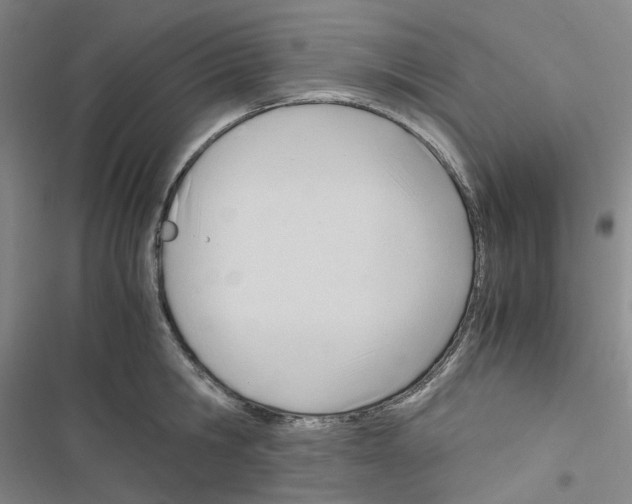 X0000116680806201001251259