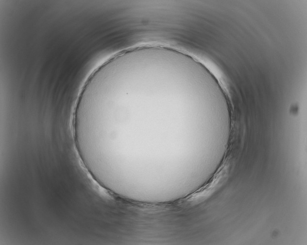 X0000116680807201001251259