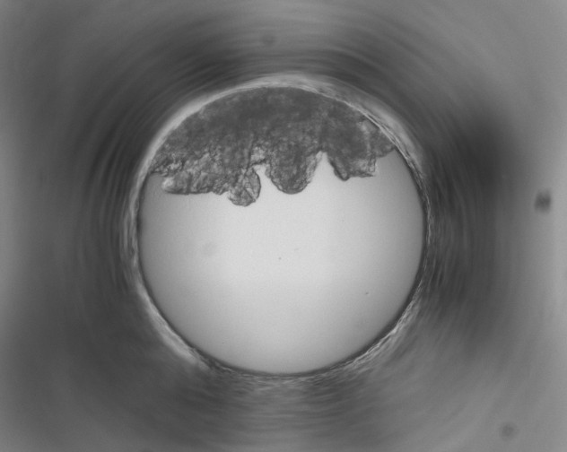 X0000116680808201001251259