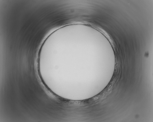 X0000116680811201001251259